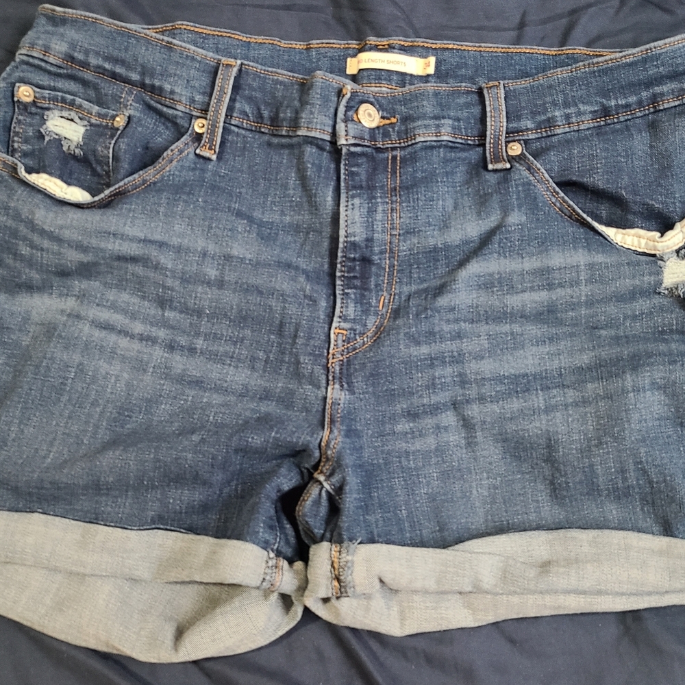 shorts women levi size 34